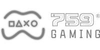 पार्टनर ४० partner logo